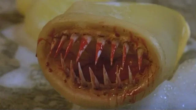 Photo 2 du film : Killer kondom !