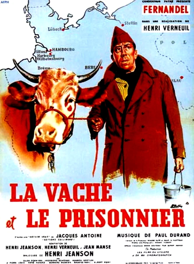 Affiche du film : La vache