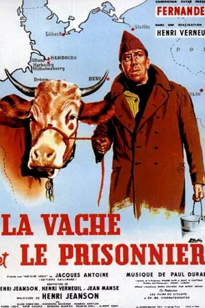 Affiche du film : La vache