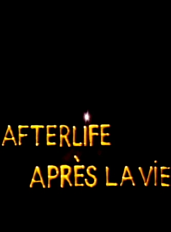 Affiche du film : Vie apres la vie