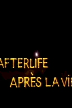 Affiche du film : Vie apres la vie