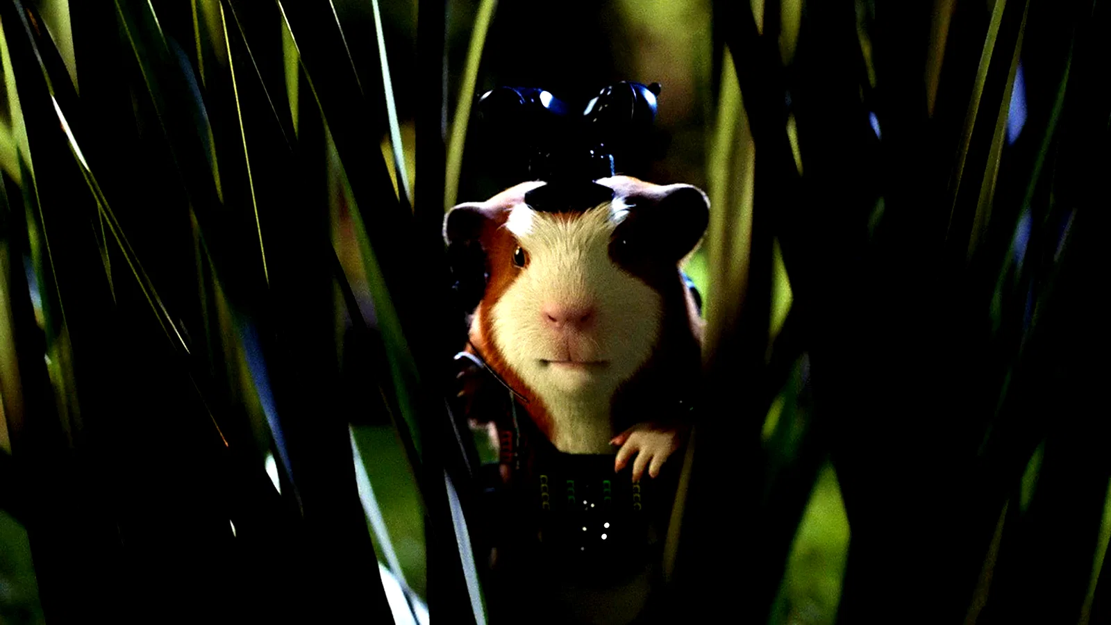 Photo 3 du film : Force g