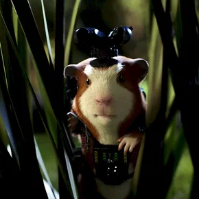 Photo du film : Force g