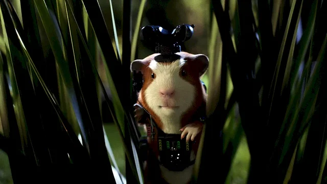 Photo 3 du film : Force g