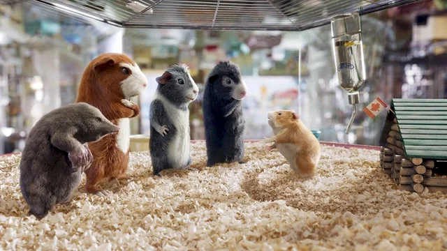 Photo 10 du film : Force g