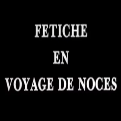 Miniature photo du film : Voyage de noces