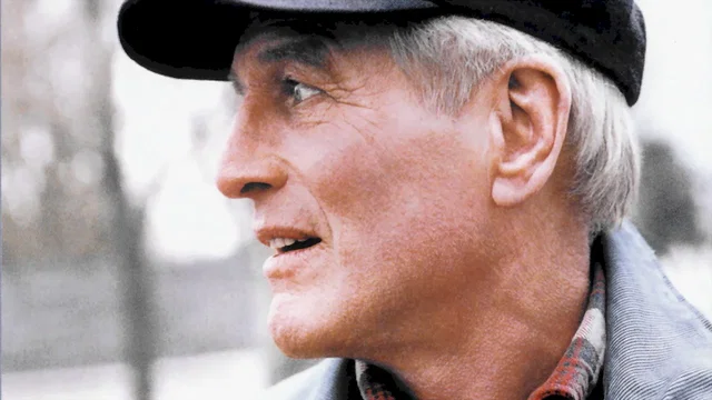 Photo du film : Un homme presque parfait