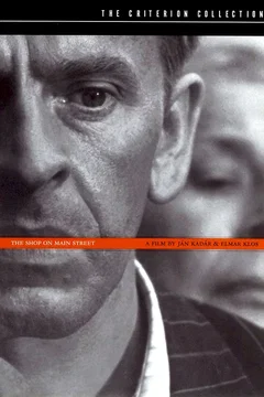 Affiche du film Le miroir aux alouettes