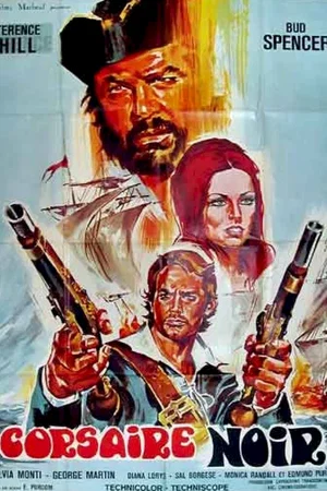 Affiche du film : Le corsaire noir