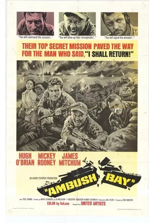 Affiche du film : Guet apens