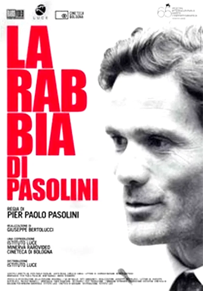 Affiche du film : La rabbia