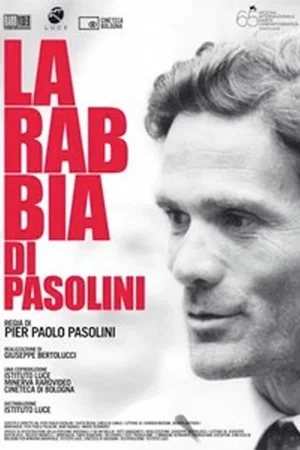 Affiche du film : La rabbia