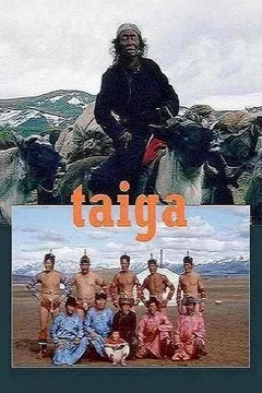 Affiche du film Taiga