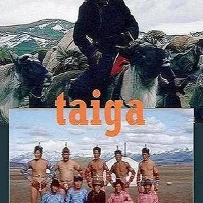 Photo du film : Taiga