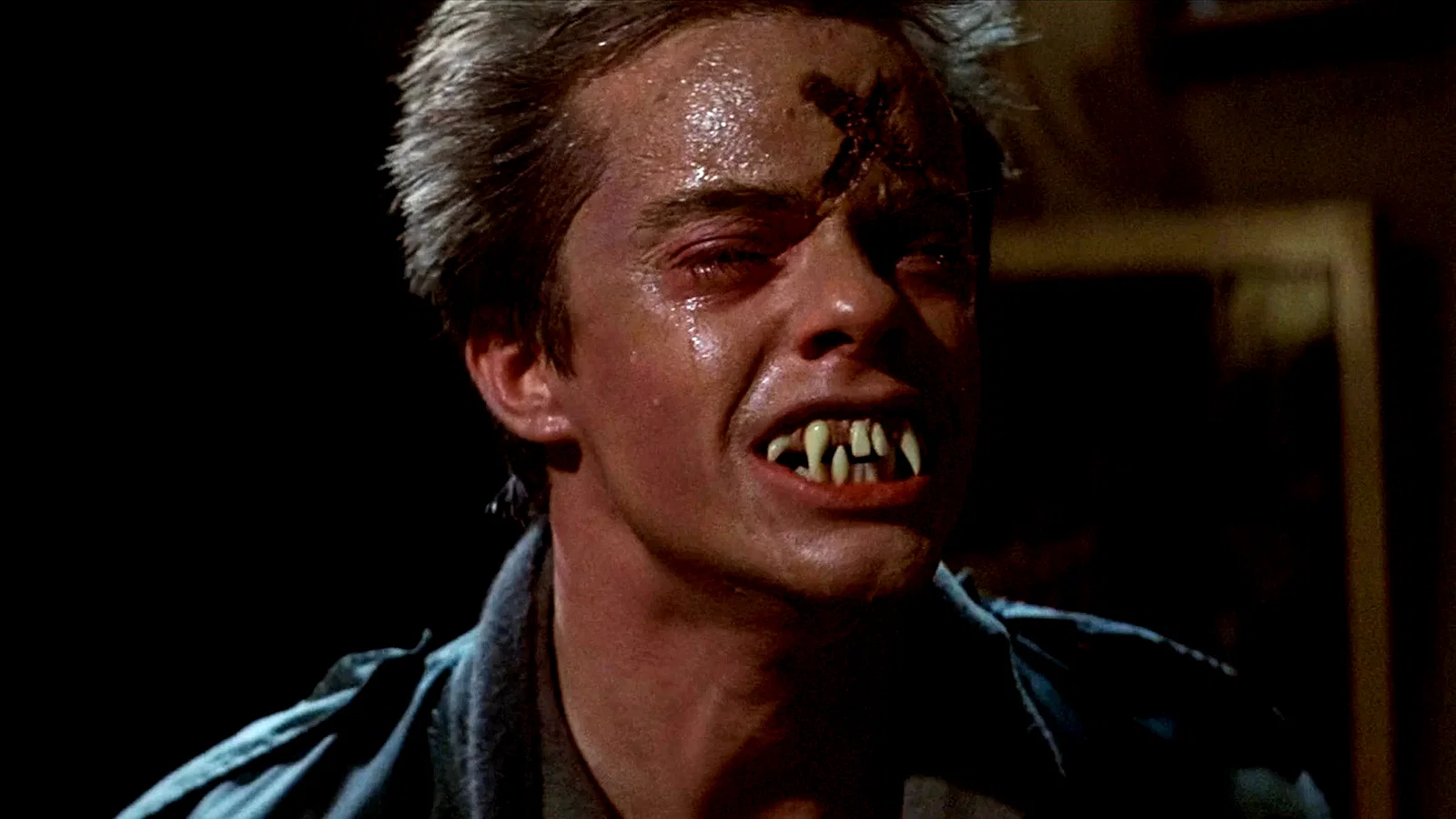 Photo 24 du film : Vampire, vous avez dit vampire ?