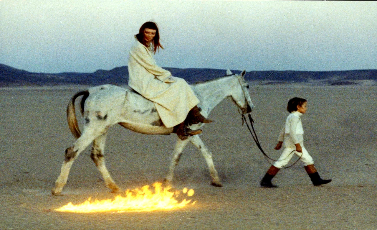Photo 2 du film : La cicatrice