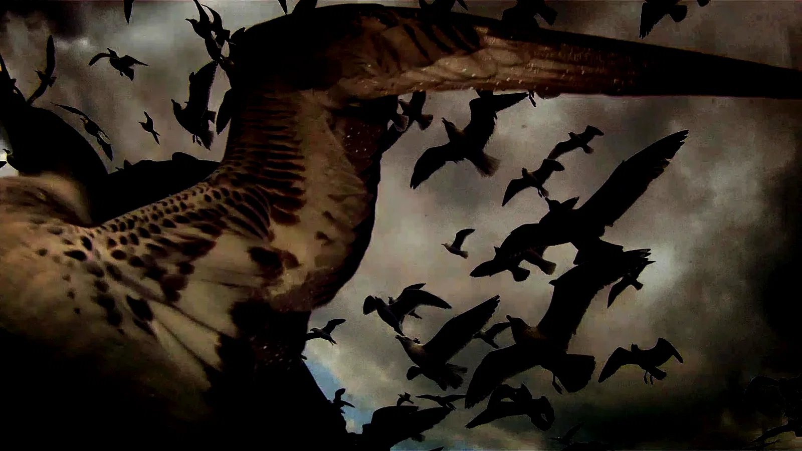 Photo 2 du film : Leviathan
