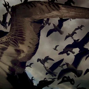 Photo du film : Leviathan