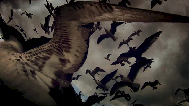 Photo du film : Leviathan