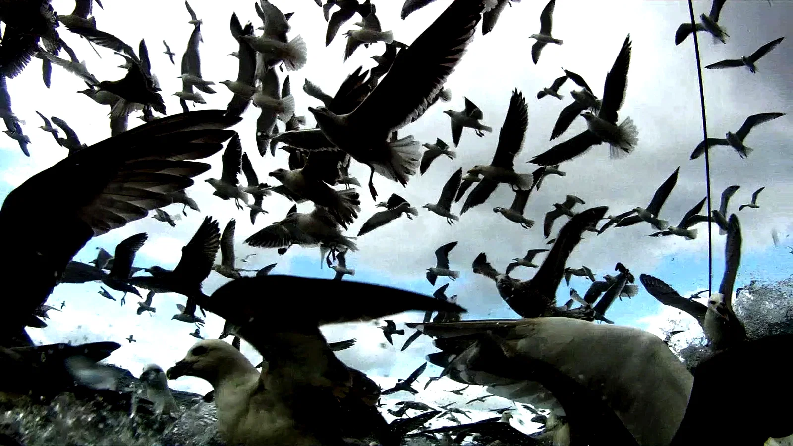 Photo 3 du film : Leviathan