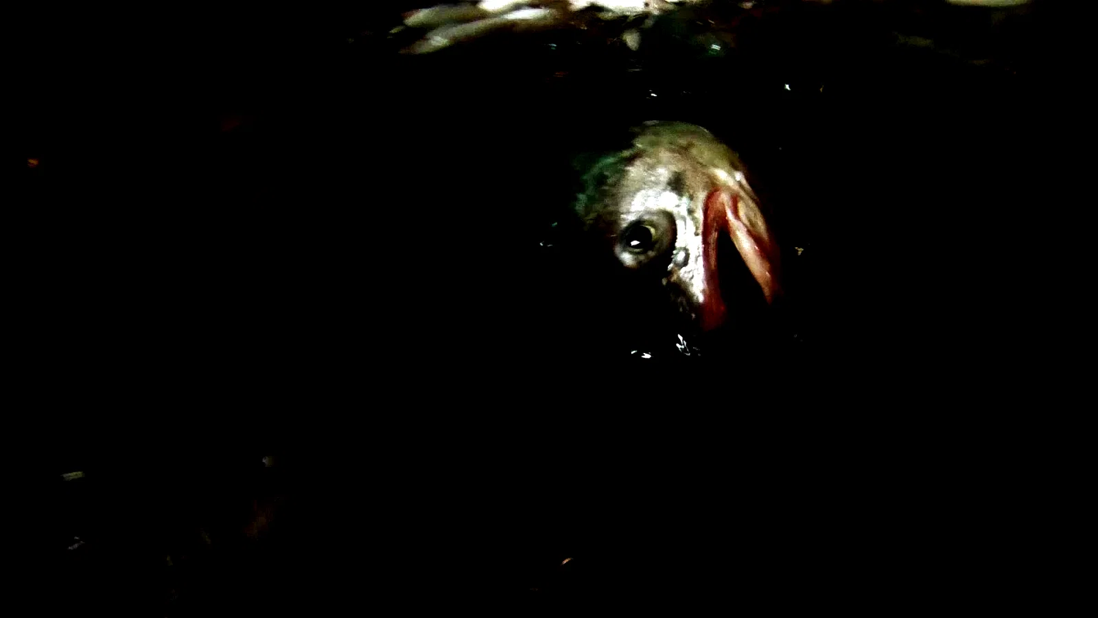 Photo 4 du film : Leviathan