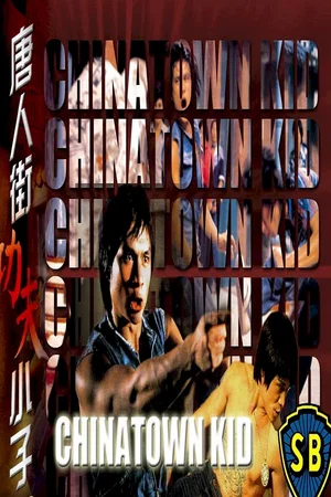 Affiche du film : Le Caïd de Chinatown