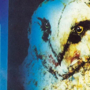Photo du film : Stagefright