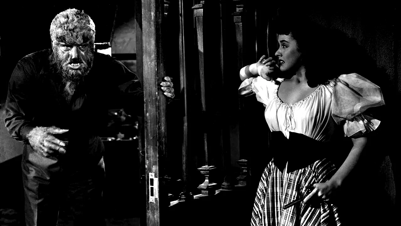 Photo 3 du film : La maison de dracula