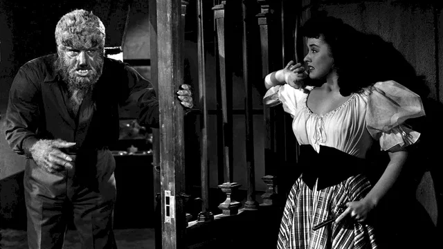 Photo du film : La maison de dracula