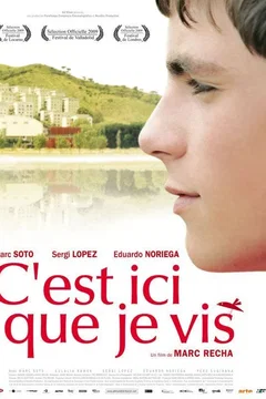 Affiche du film Ici