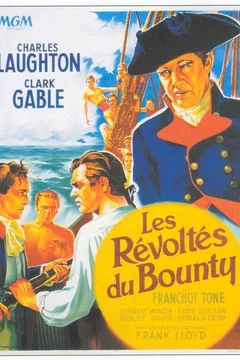 Affiche du film Les revoltes