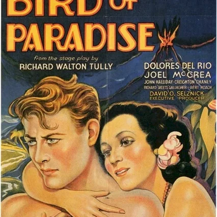 Miniature photo du film : L'oiseau de paradis