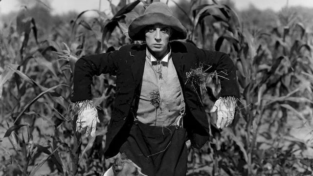 Photo du film : L'épouvantail