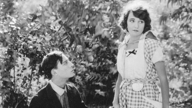 Photo du film : L'épouvantail