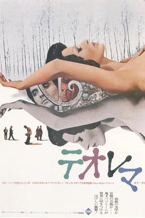 Affiche du film : Theorem