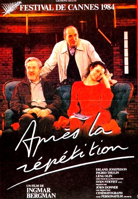 Affiche du film : The rehearsal