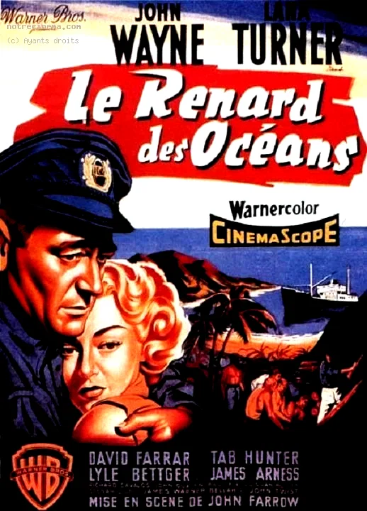 Affiche du film : Zorro le renard
