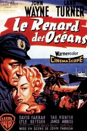 Affiche du film : Zorro le renard