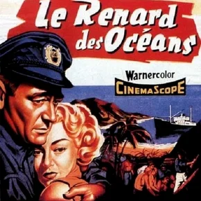 Photo du film : Zorro le renard