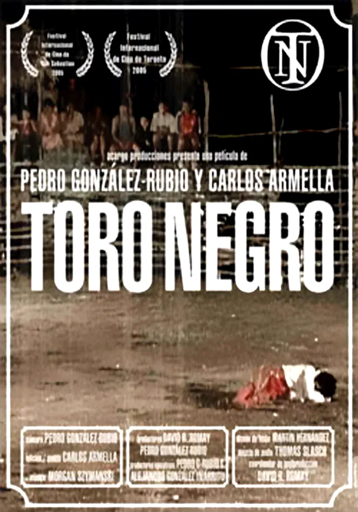 Affiche du film : Toro