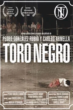 Affiche du film Toro
