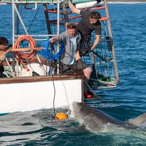 Photo du film : Dark tide