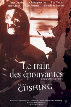 Affiche du film = Le train des epouvantes
