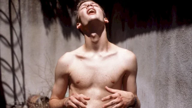 Photo 2 du film : Le voleur