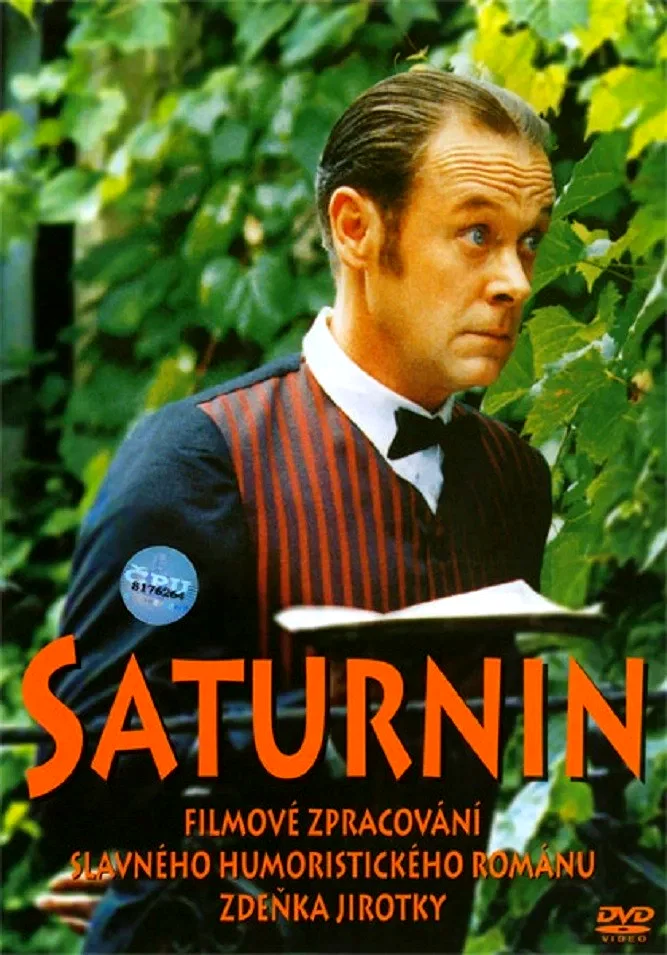 Affiche du film : Saturnin