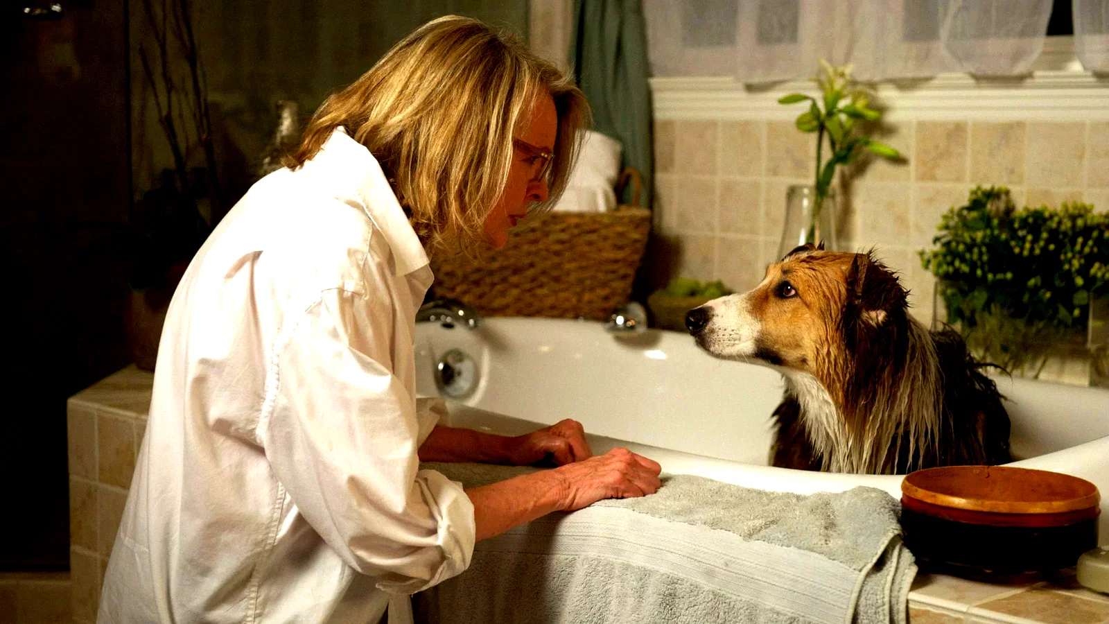 Photo 2 du film : Darling Companion