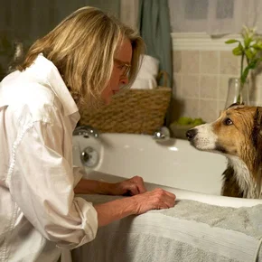 Photo du film : Darling Companion