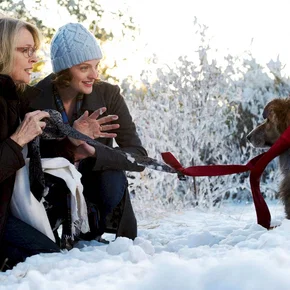 Photo du film : Darling Companion