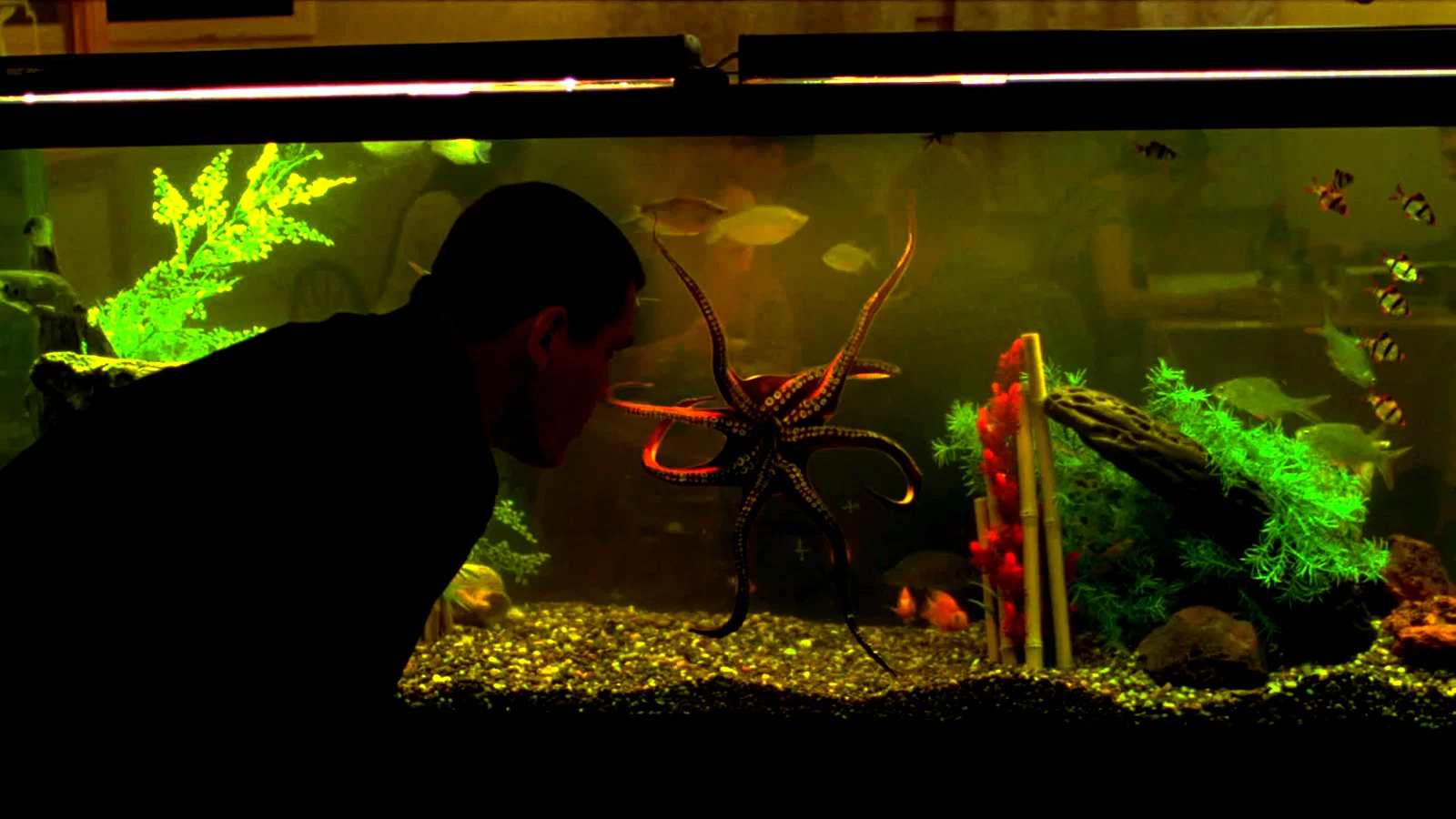 Photo 3 du film : Oldboy