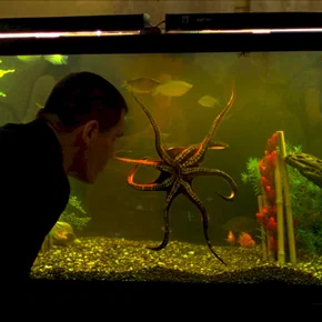 Photo du film : Oldboy
